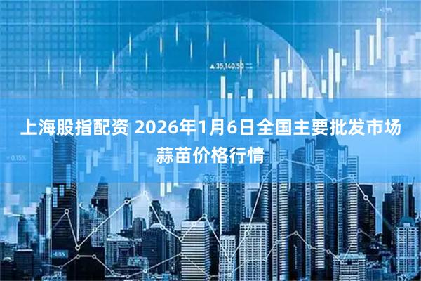 上海股指配资 2026年1月6日全国主要批发市场蒜苗价格行情
